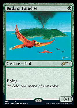 Birds of Paradise (NM Nonfoil)