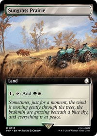 Sungrass Prairie (Extended Art) (NM Nonfoil) [Fallout]
