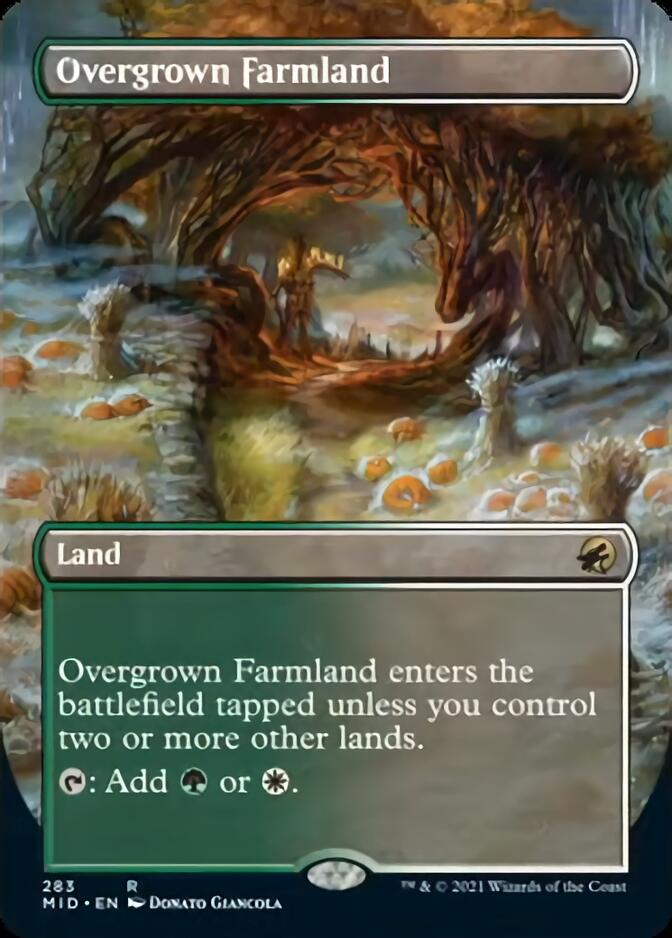 Overgrown Farmland (Borderless) (NM Foil)