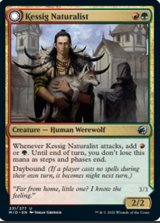 Kessig Naturalist // Lord of the Ulvenwald (en Near Mint)